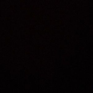 Meet your Posher, Daniela